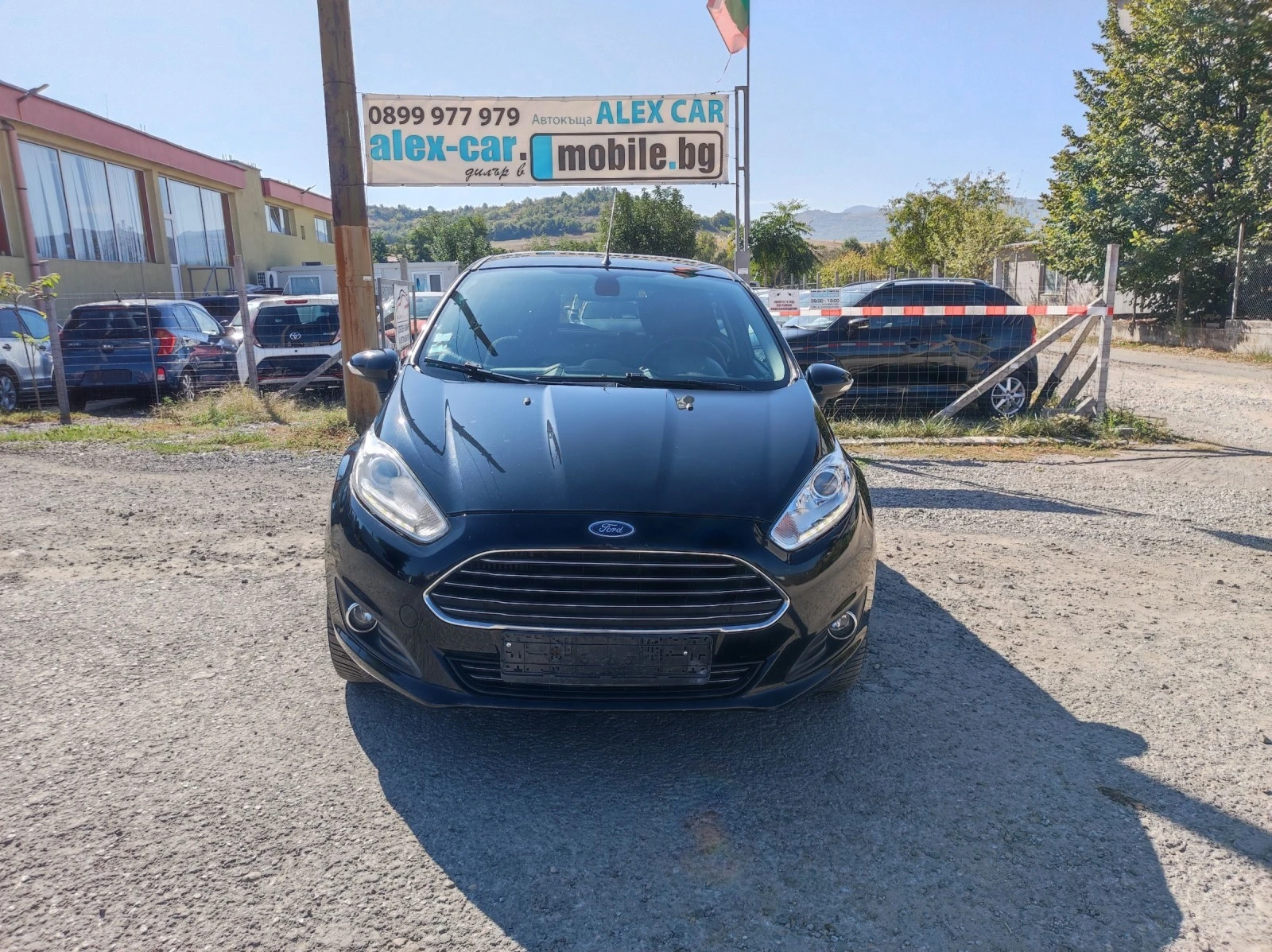 Ford Fiesta Celebration , снимка 1