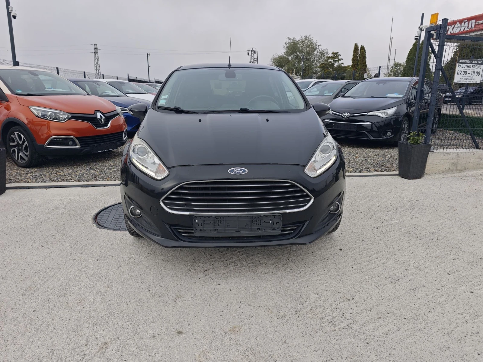 Ford Fiesta Celebration 