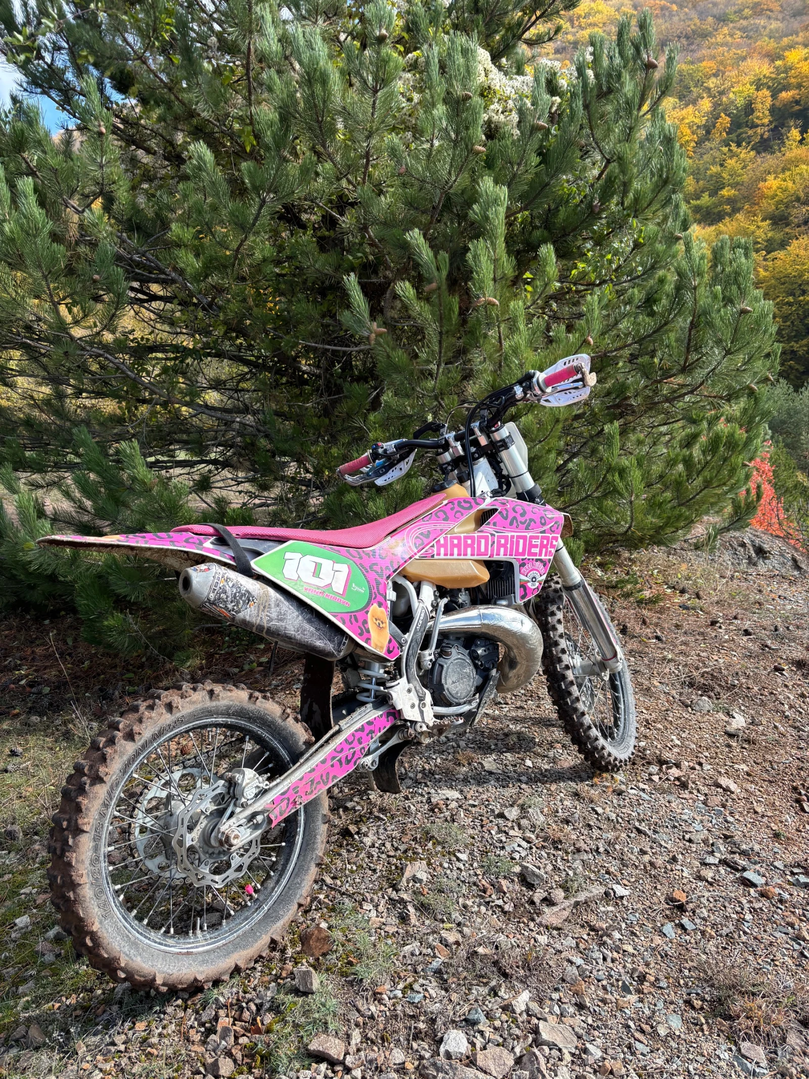 Husqvarna TE TE300 TPI - изображение 2