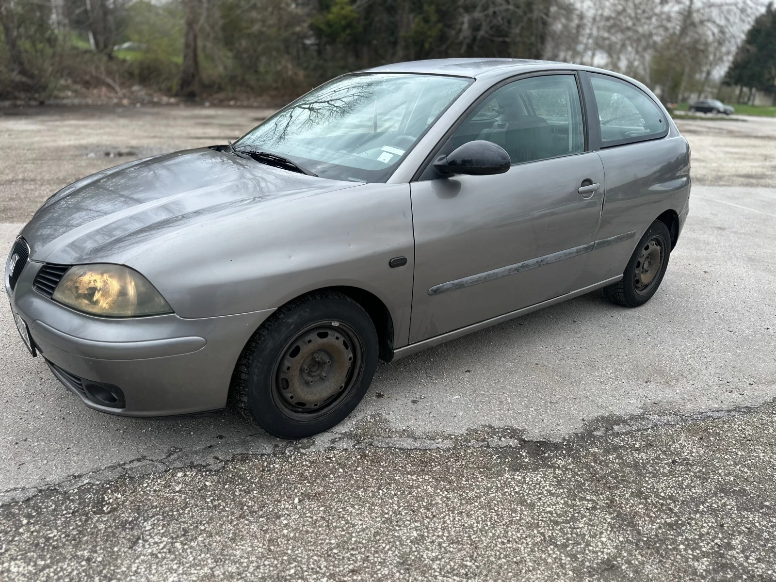 Seat Ibiza 1.9TDI - изображение 2