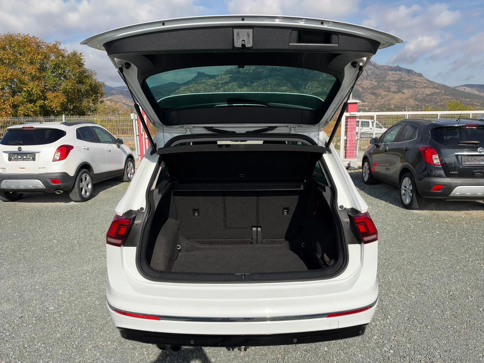 VW Tiguan (KATO ����)^(R-Line) | Mobile.bg � ����������� 13