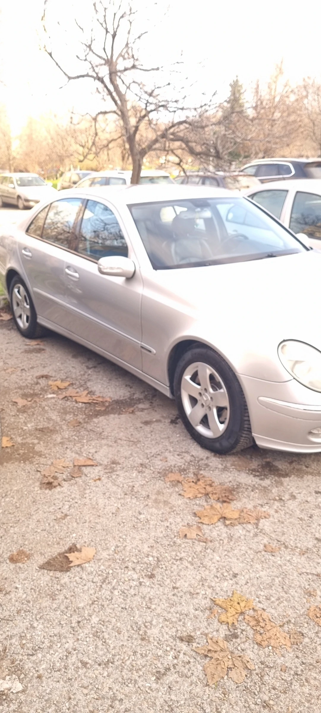 Mercedes-Benz E 270 Elegance | Mobile.bg � ����������� 1