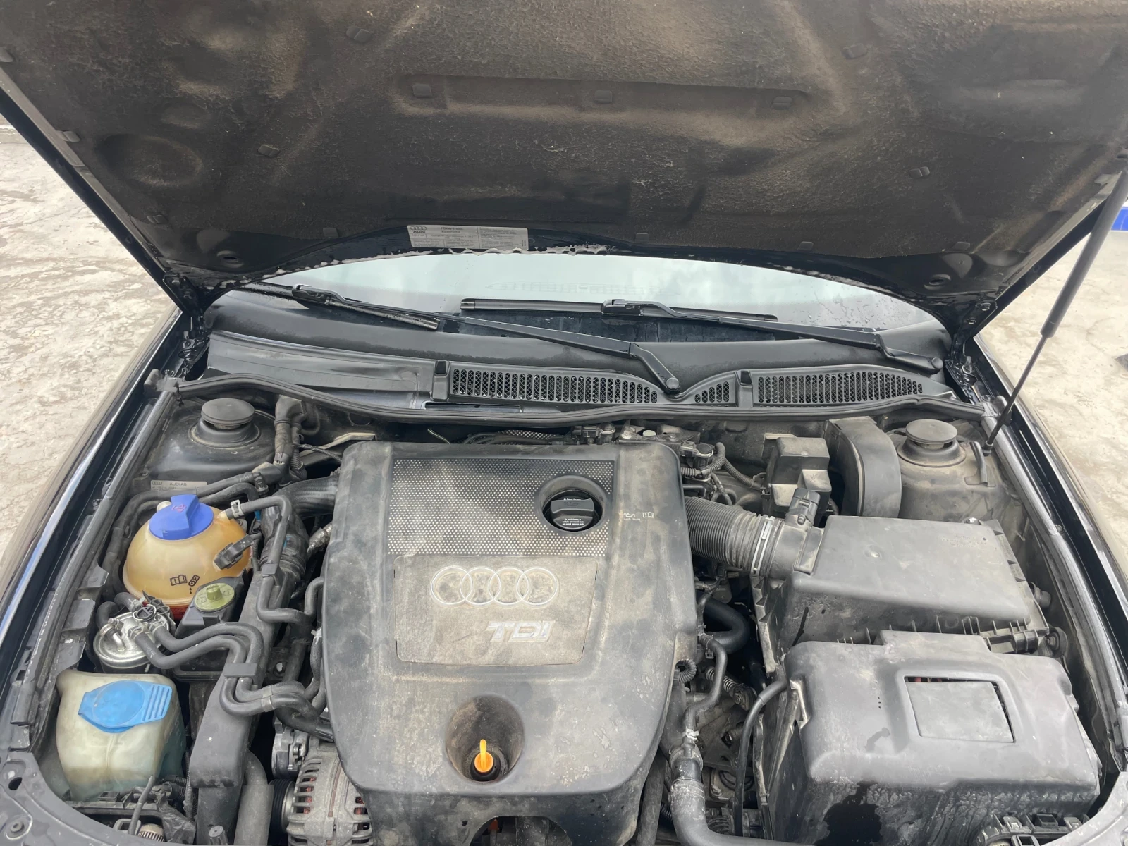 Audi A3 1.9TDI QUATTRO, снимка 11 - Автомобили и джипове - 54243926