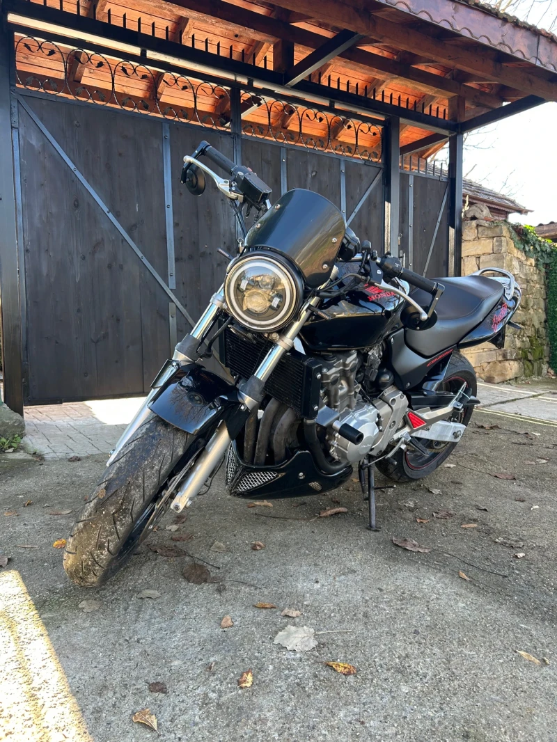 Honda Hornet