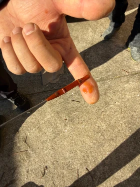 Kia Seltos 2.0 MPI AWD Automatic 4x4 - 24500 € / 47917.83 лв. - 88648249 6