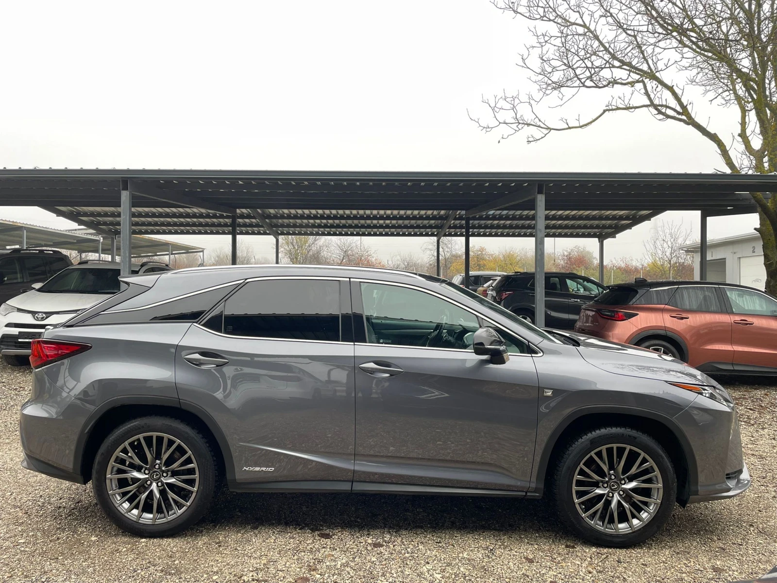 Lexus RX 450h F Sport/360Camera/Panorama/Full/В гаранция  - изображение 4