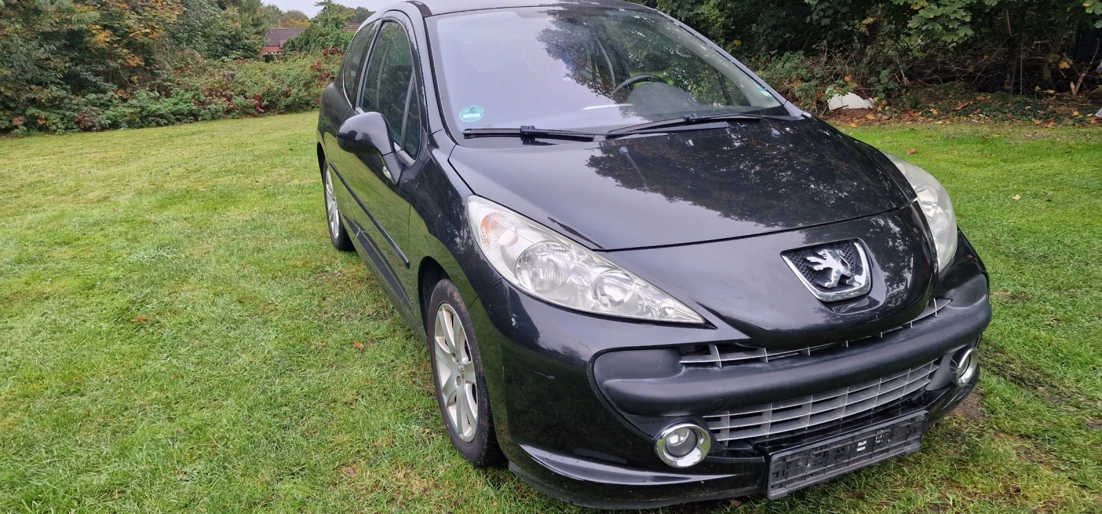 Peugeot 207  - изображение 4