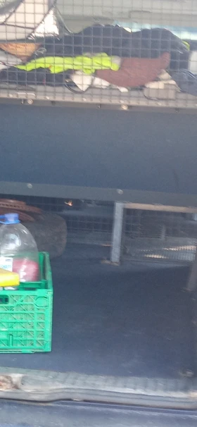 VW Caravelle, снимка 4