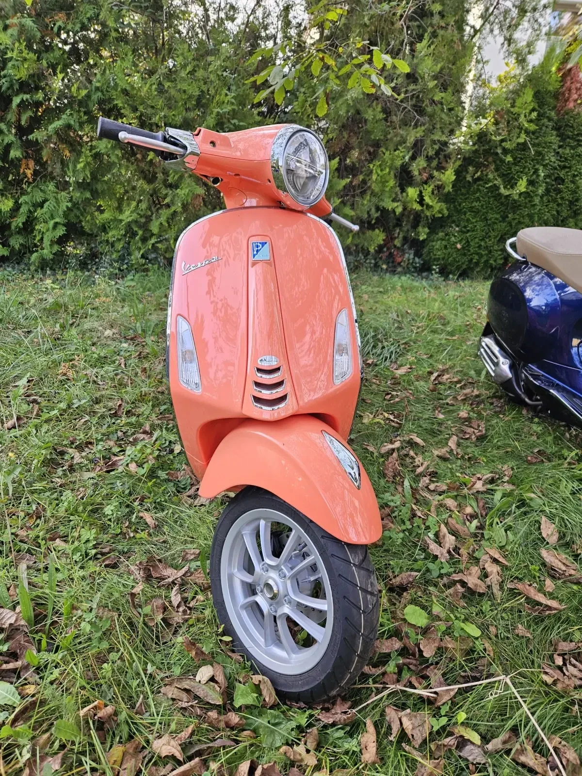 Vespa Primavera ���� � ����� ���� !!! ������� ����! | Mobile.bg � ����������� 13
