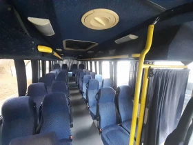 Iveco Massive Daily - 21000 € / 41072.43 лв. - 75054067 11