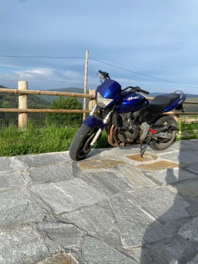 Honda Hornet | Mobile.bg    2