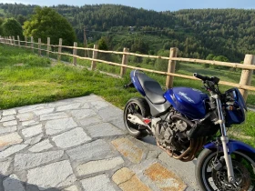 Honda Hornet | Mobile.bg    4