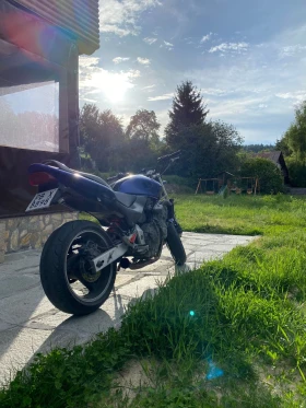  Honda Hornet