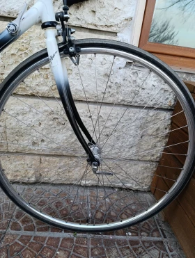 ������ | Mobile.bg � ����� ������ 10