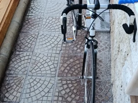 ������ | Mobile.bg � ����� ������ 2