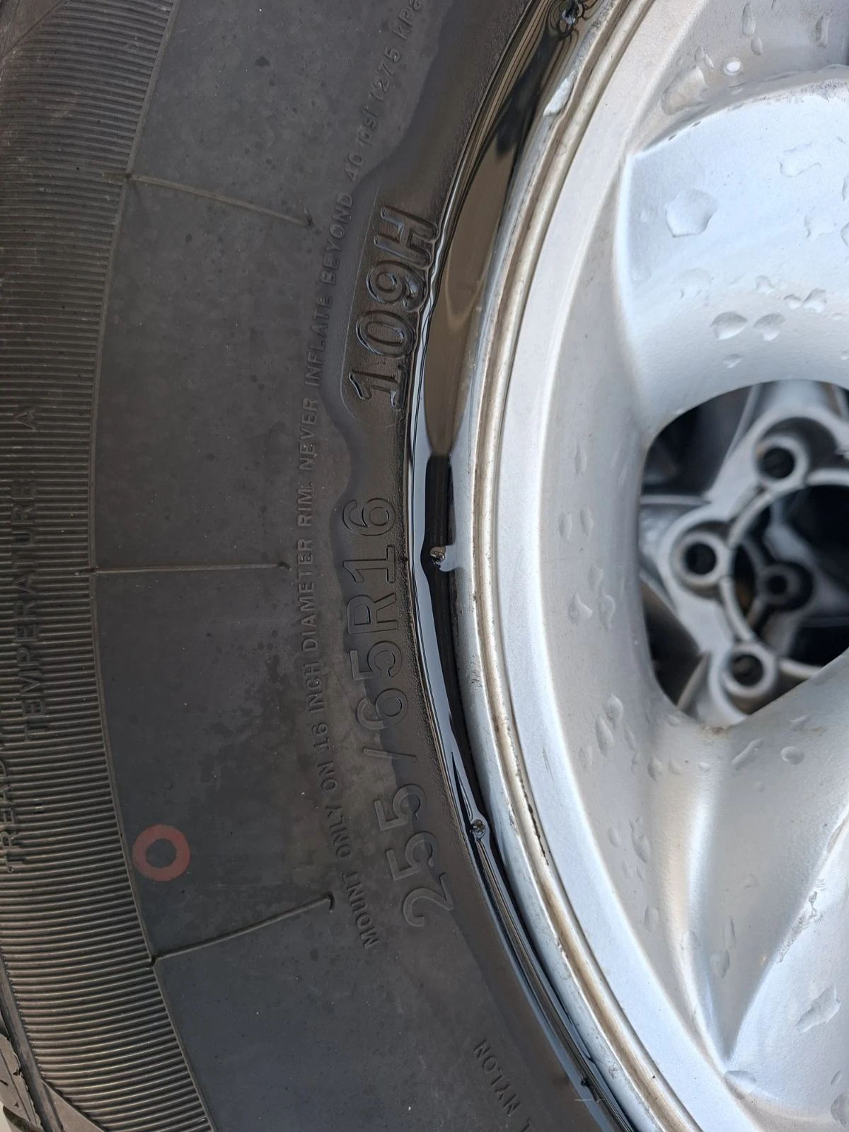 ���� � ������ 255/65R16 | Mobile.bg � ����������� 3