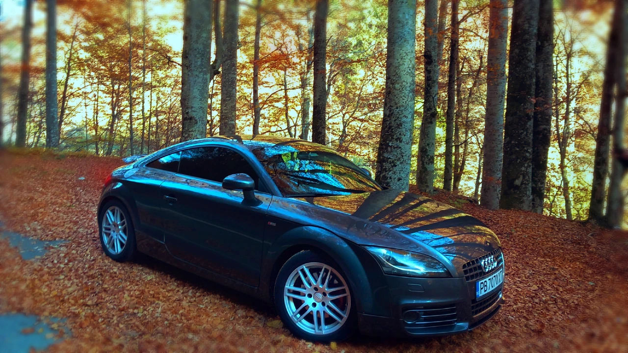 Audi Tt 2.0 TFSI S-Line | Mobile.bg   1