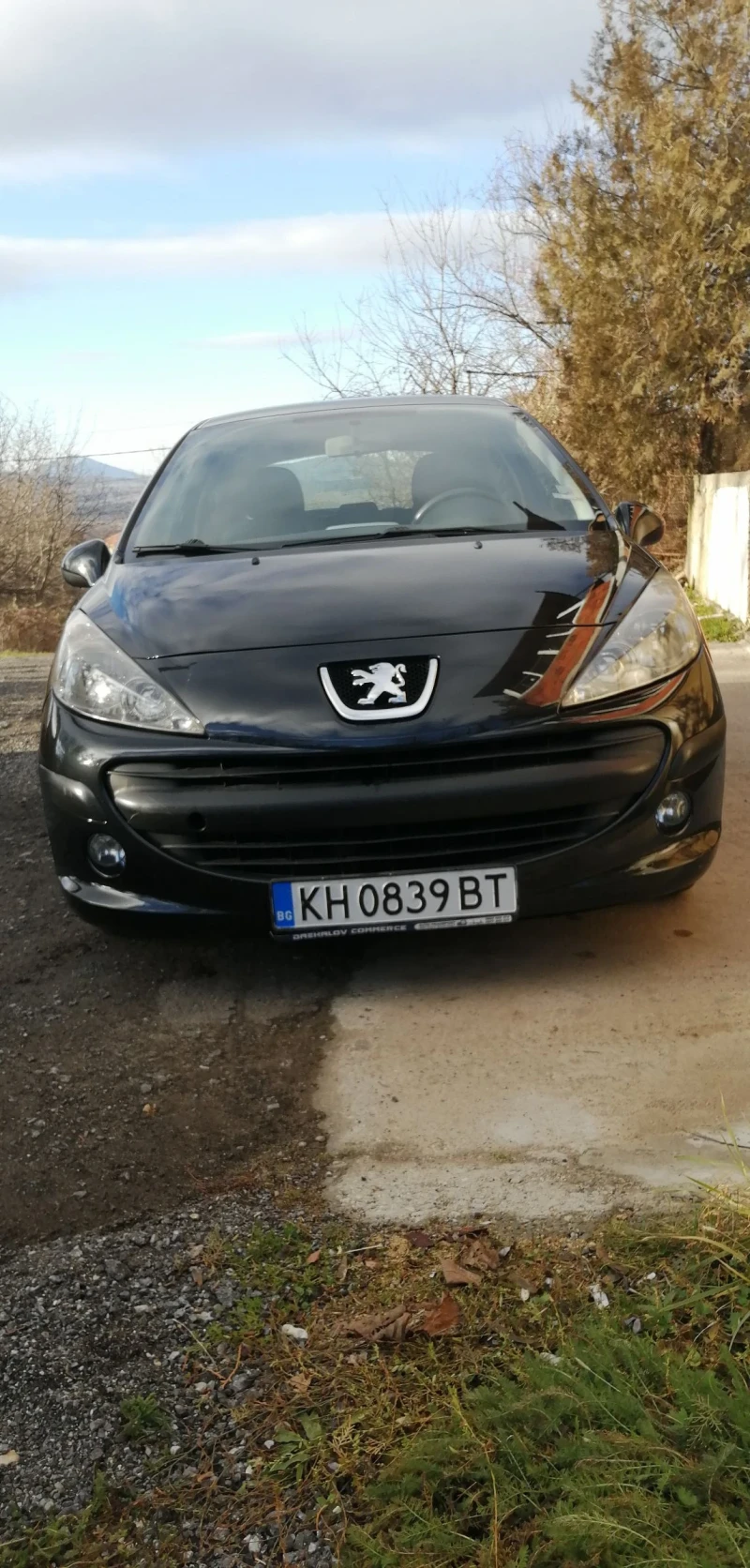 Peugeot 207, снимка 1 - Автомобили и джипове - 48374069