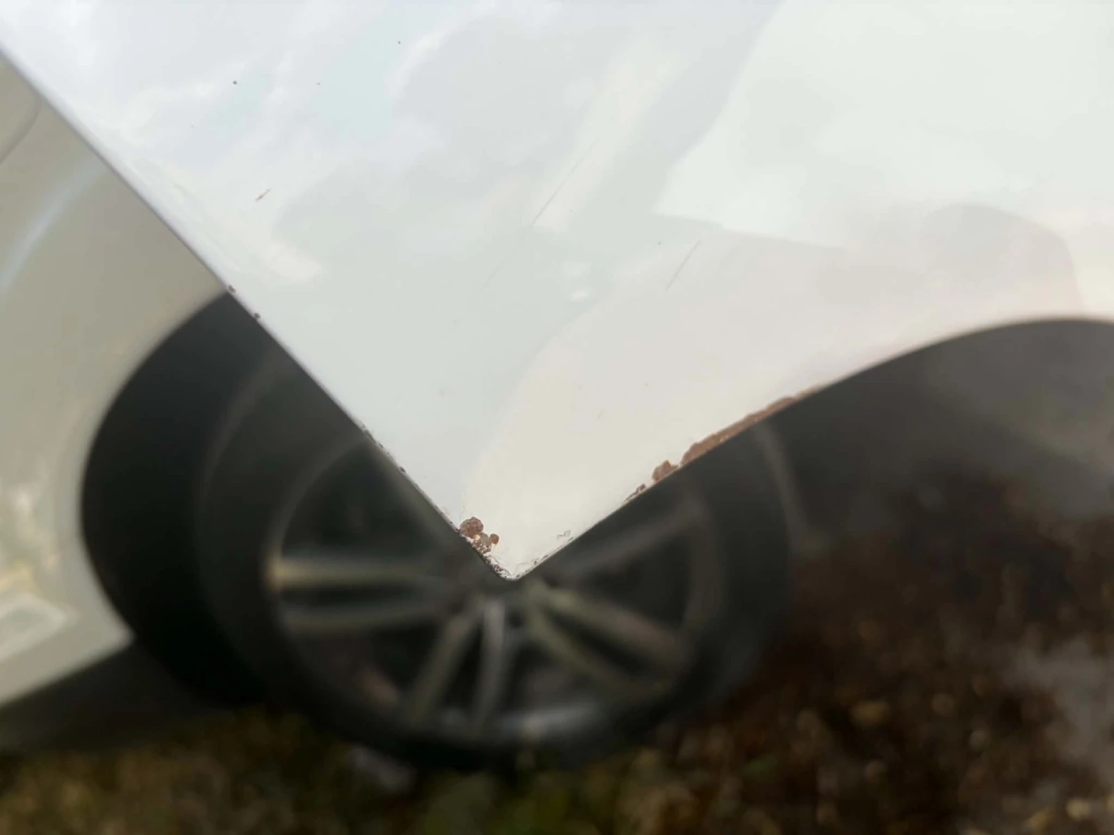 Audi Q7, снимка 4 - Автомобили и джипове - 54999270