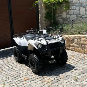     Kawasaki Brute Force
