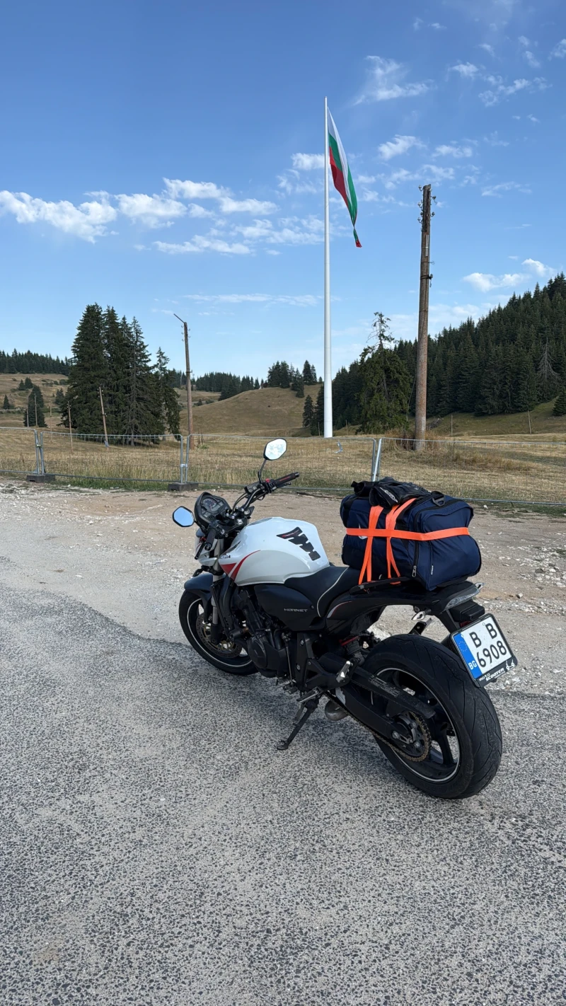 Honda Hornet, снимка 10 - Мотоциклети и мототехника - 51702538