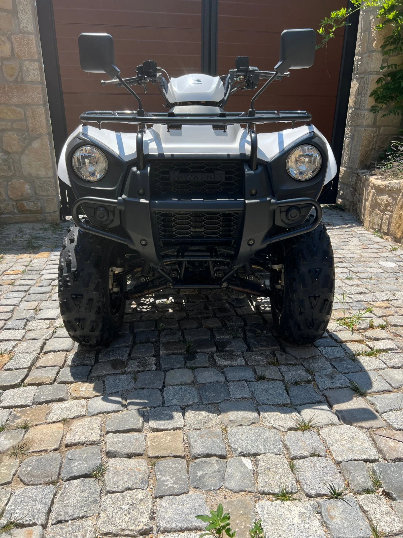 Kawasaki Brute Force  - изображение 2