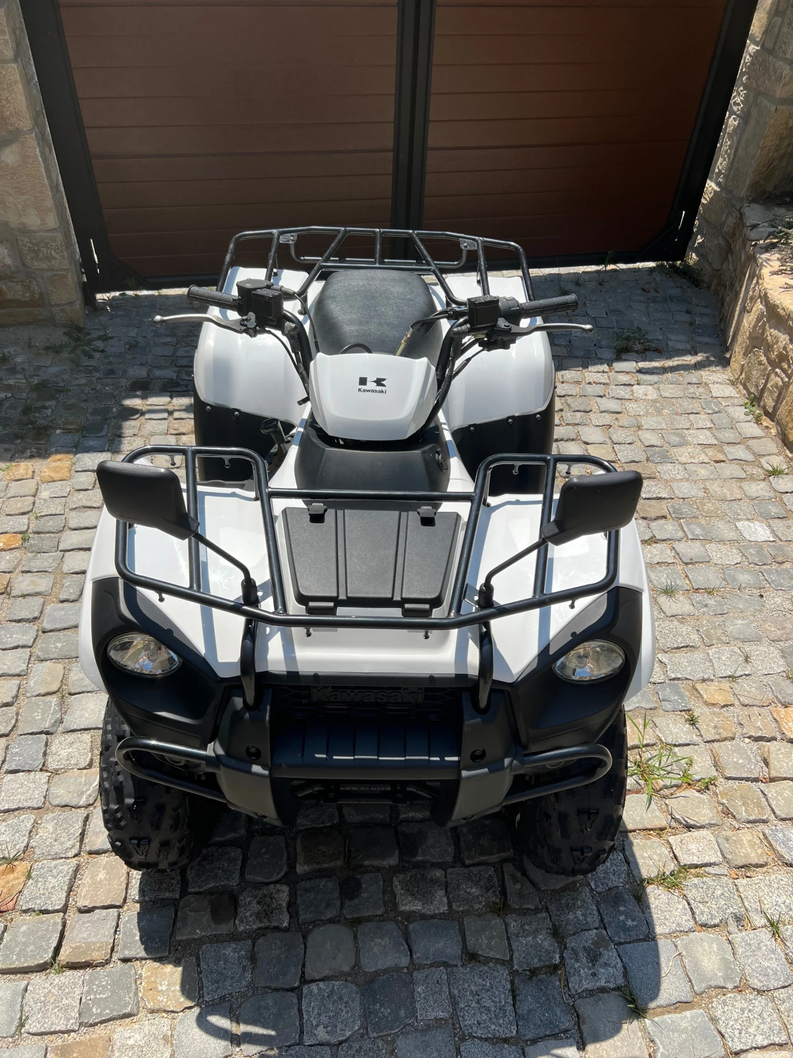 Kawasaki Brute Force  - изображение 3