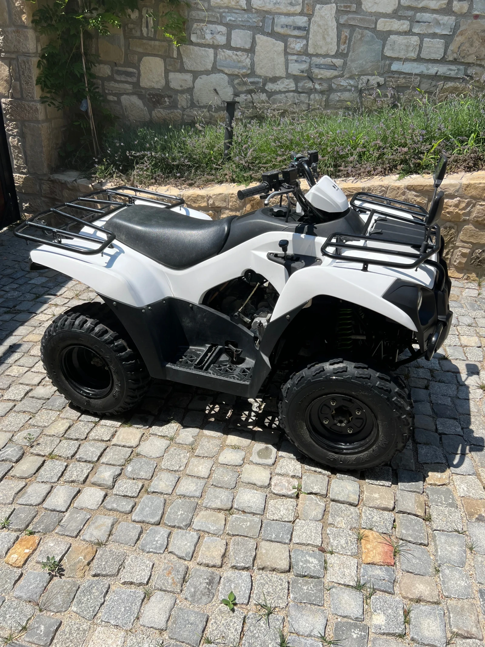 Kawasaki Brute Force  - изображение 10