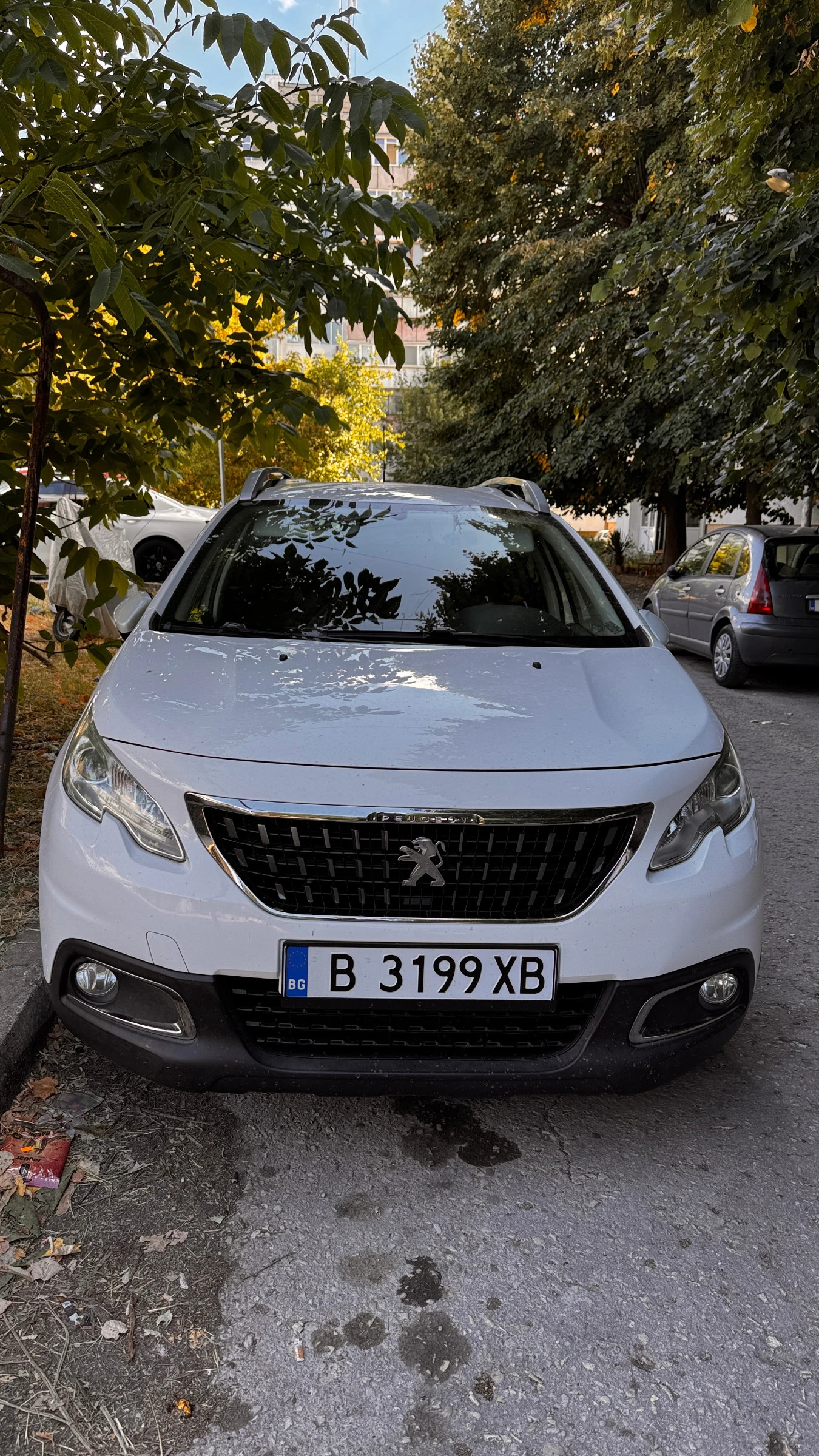 Peugeot 2008 BlueHDI