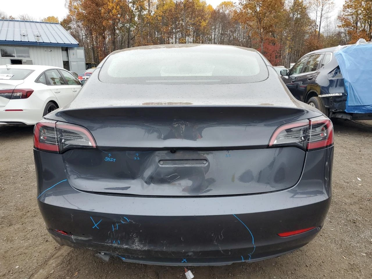 Tesla Model 3 * ЛЕКА ЩЕТА*  - изображение 6