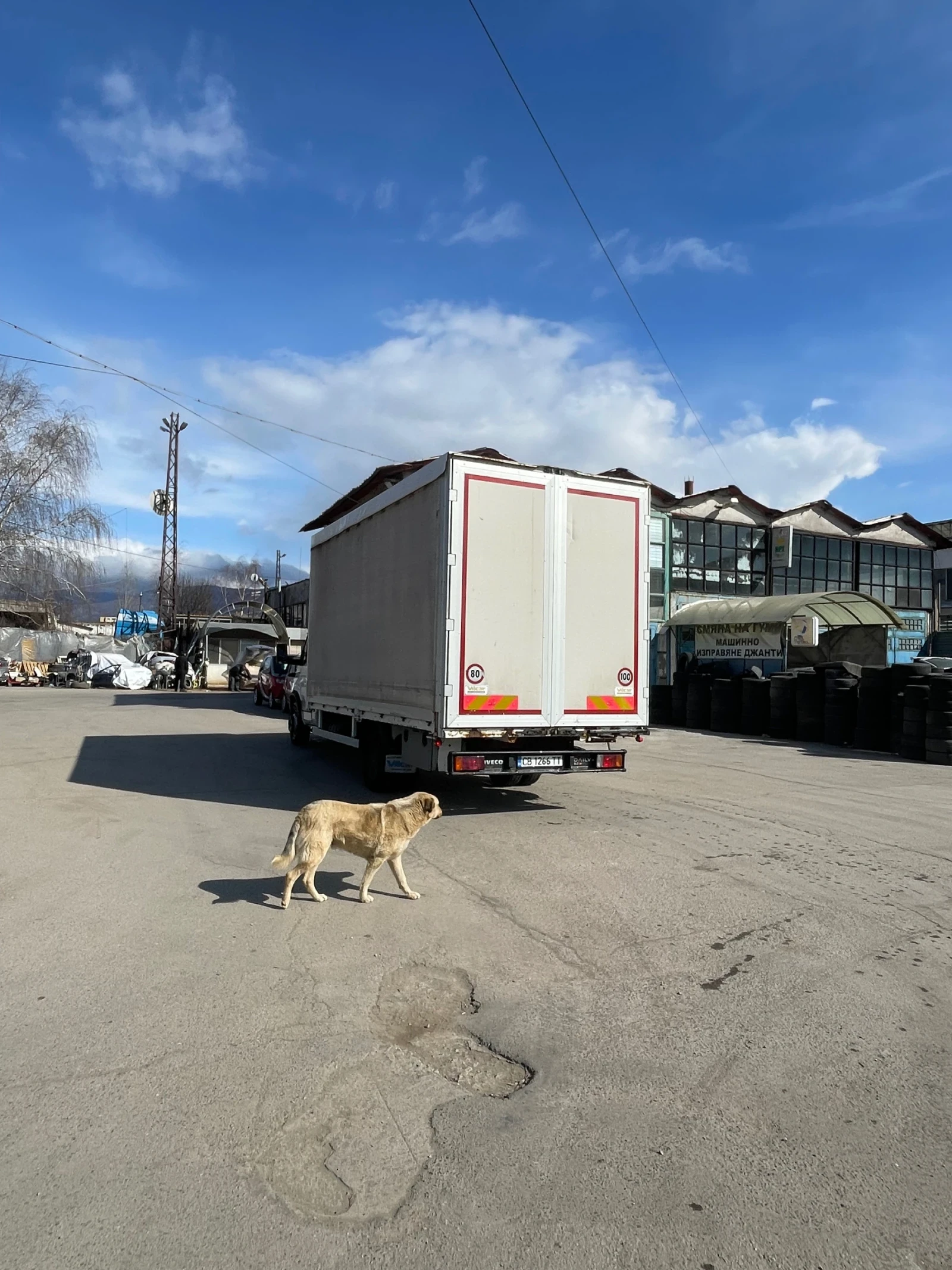 Iveco Daily, снимка 5 - Бусове и автобуси - 53968981