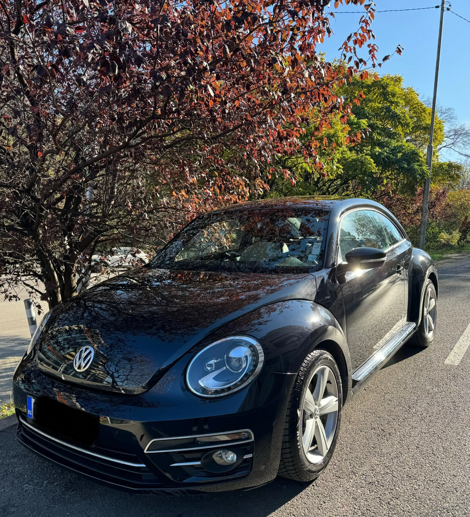 VW New beetle Фарове+ Стопове - изображение 2