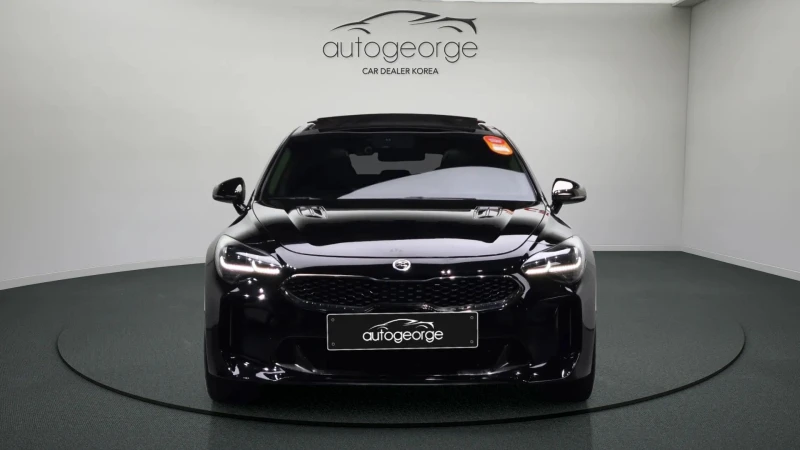 Kia Stinger 2.0T 2WD PLATINUM, снимка 2 - Автомобили и джипове - 52494101