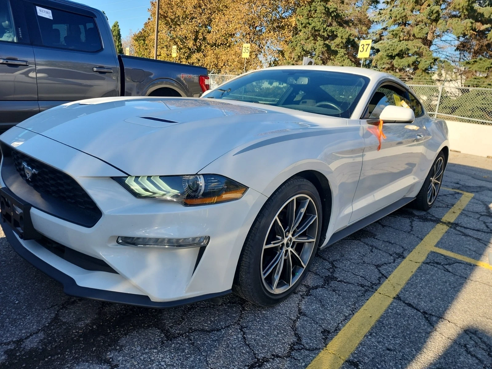 Ford Mustang ECPBOOST * * CARFAX * *   * *  | Mobile.bg   1