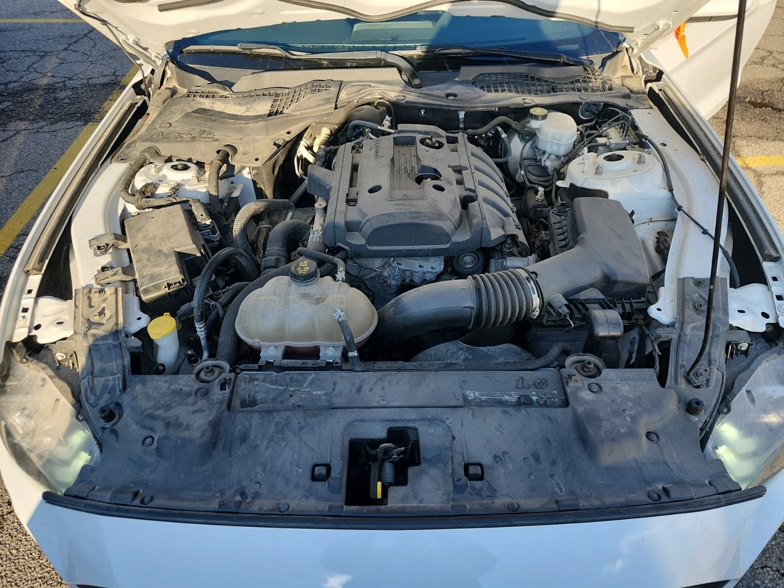 Ford Mustang ECPBOOST * * CARFAX * *   * *  | Mobile.bg   10