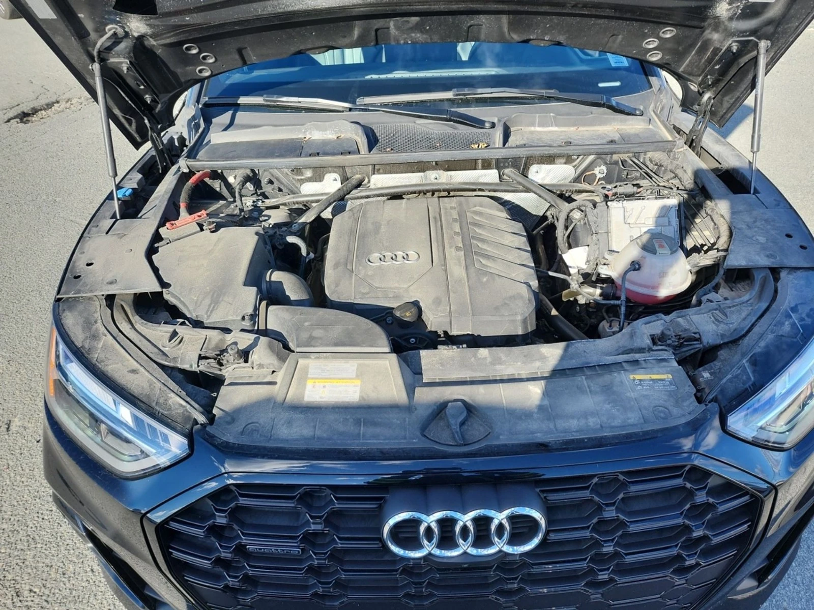 Audi Q5 45TFSI - PROGRESSIVE - DISTRONIC - �������� - ���� | Mobile.bg � ����������� 16