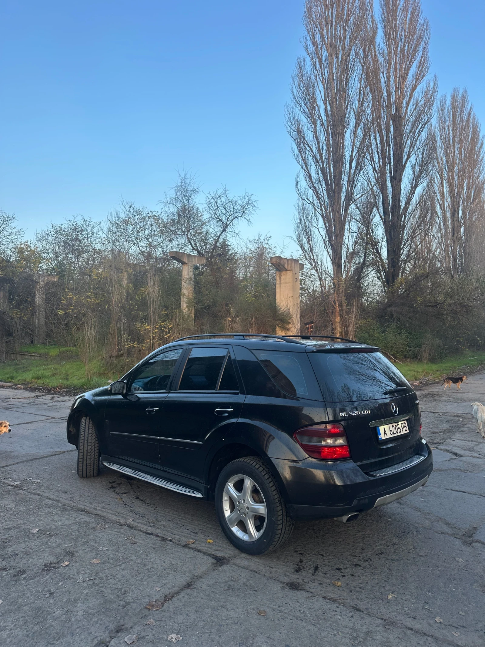 Mercedes-Benz ML 320 ML320 CDI 4MATIC | Mobile.bg   7