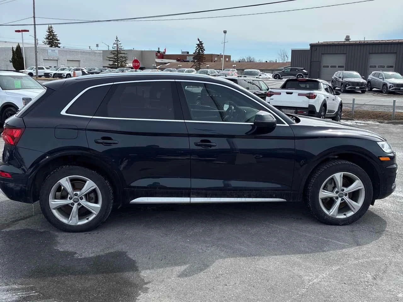 Audi Q5 * Progressiv * CARFAX * ЦЕНА ДО БГ, снимка 3 - Автомобили и джипове - 53971408