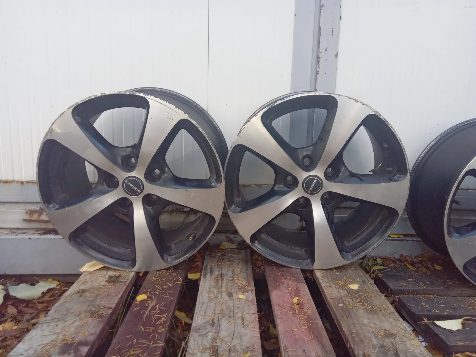 ������ | Mobile.bg � ����������� 9