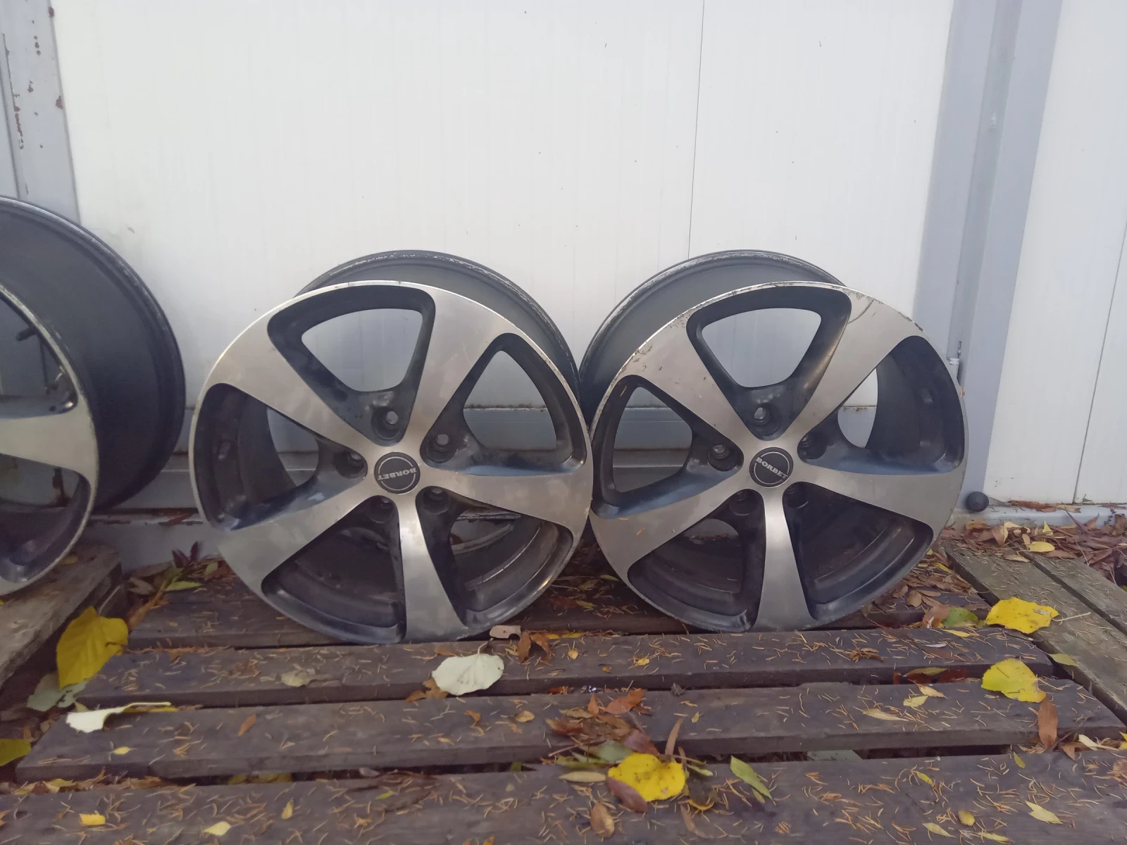 ������ | Mobile.bg � ����������� 8