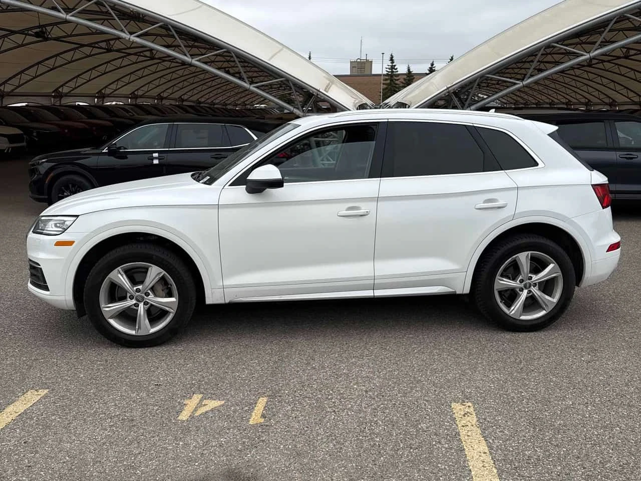 Audi Q5 Progressiv | CARFAX | АВТОКРЕДИТ БЕЗ ПЪРВОНАЧАЛНА, снимка 3 - Автомобили и джипове - 55598181
