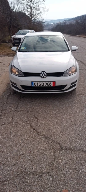 VW Golf  VII 1.6 bluemotion 1