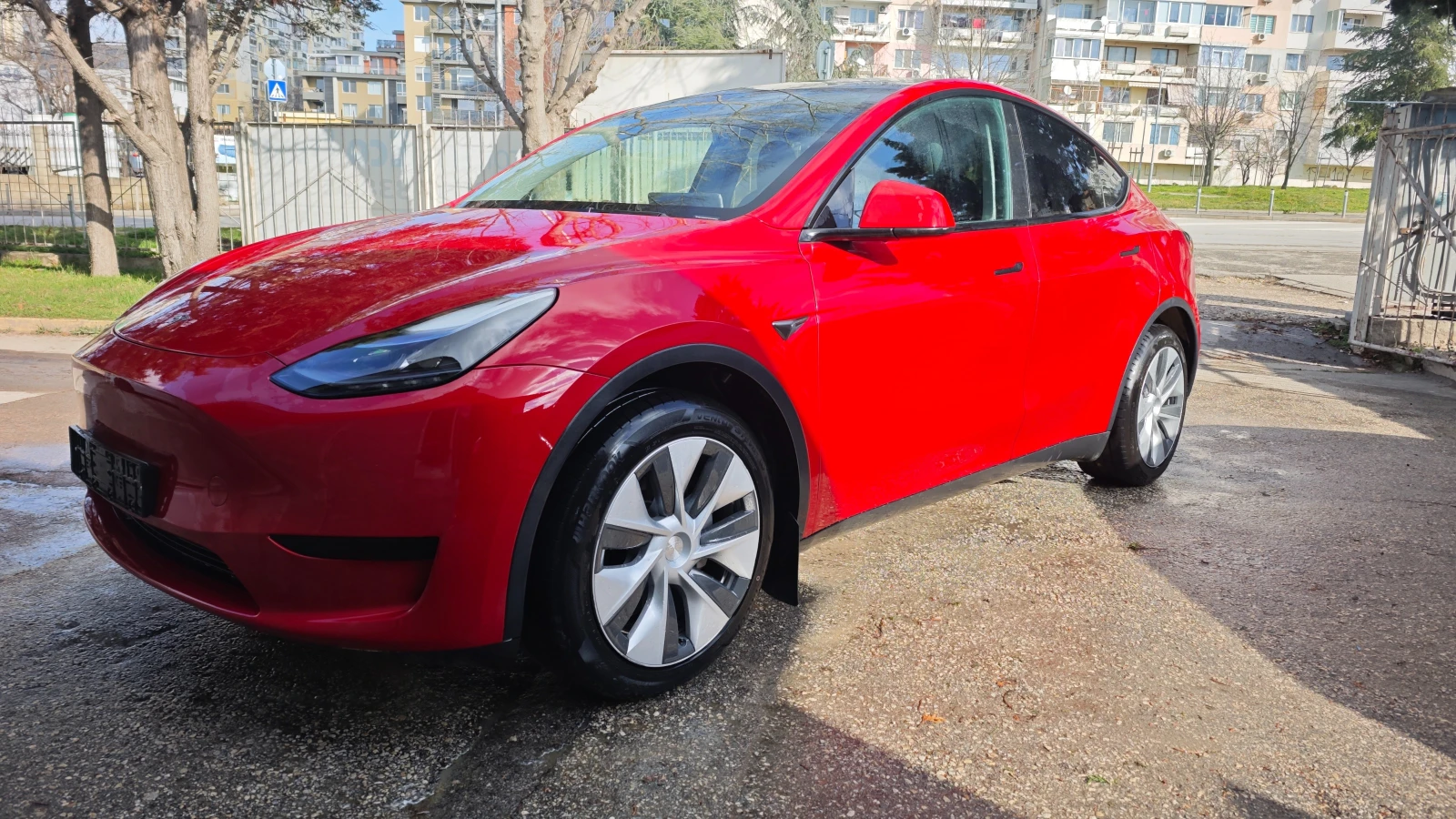 Tesla Model Y Standard Range