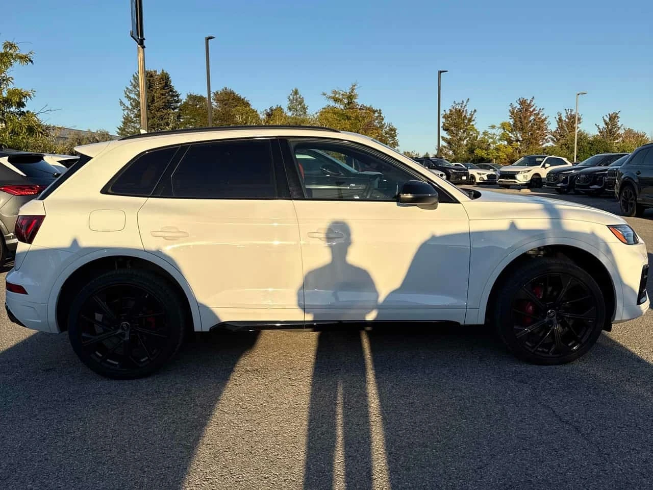 Audi SQ5 * 3.0 TFSI * Progressiv * CARFAX * , снимка 5 - Автомобили и джипове - 56219396