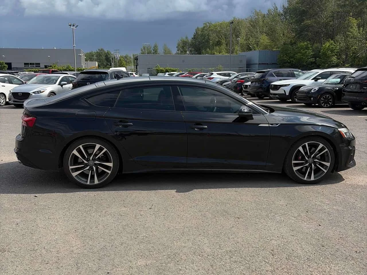 Audi S5 * Progressiv | DIS | 360 | CARFAX, снимка 3 - Автомобили и джипове - 55648275