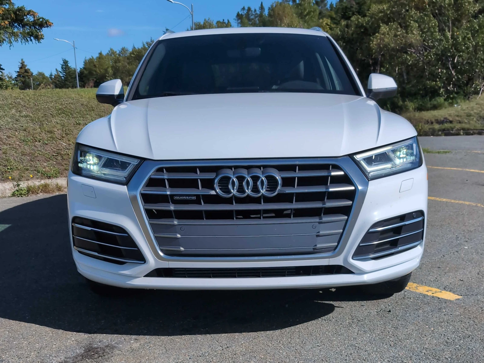 Audi Q5 Progressiv / Carfax / Автокредит, снимка 6 - Автомобили и джипове - 56229024