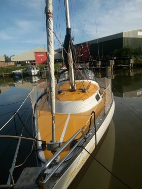 ���������� ����� Senkoh TH)Shipman Shipman Murena 30 | Mobile.bg � ����� ������ 5