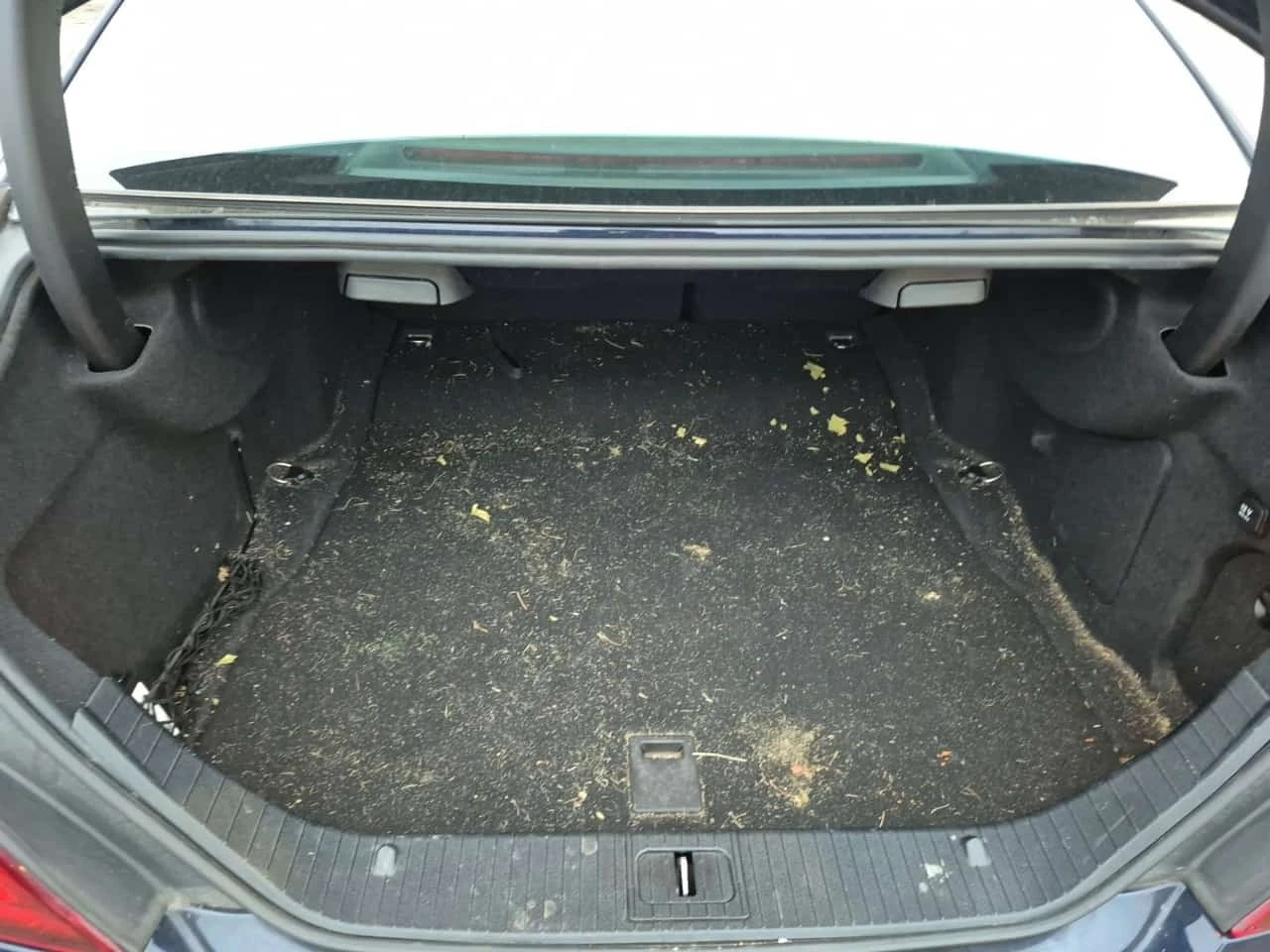 Mercedes-Benz CLS 400 * BLIND SPOT * LANE ASSIST * KEYLESS *  | Mobile.bg � ����������� 14