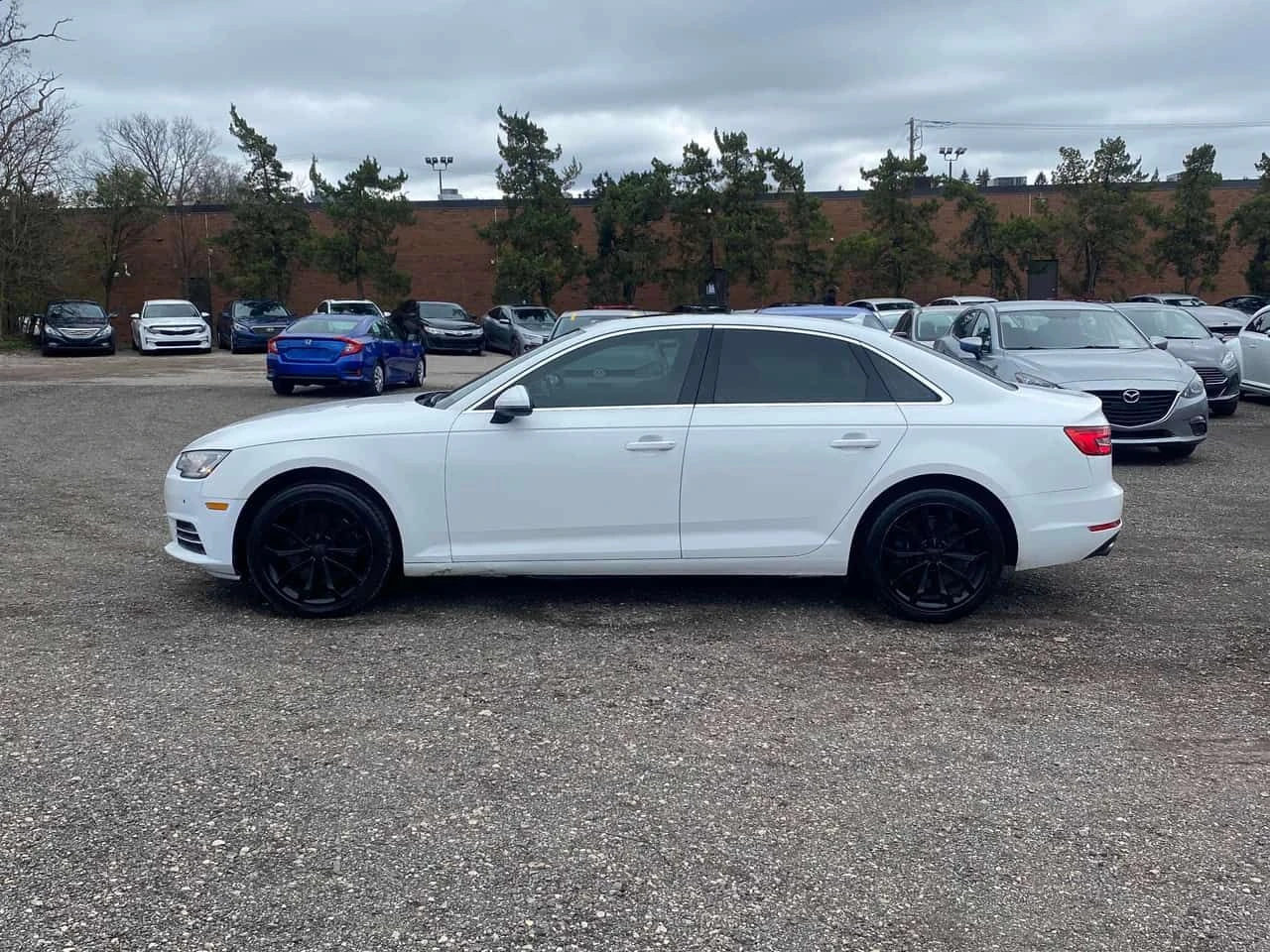 Audi A4  Progressiv / CARFAX * БЕЗ ПЪРВОНАЧАЛНА ВНОСКА, снимка 2 - Автомобили и джипове - 54639877