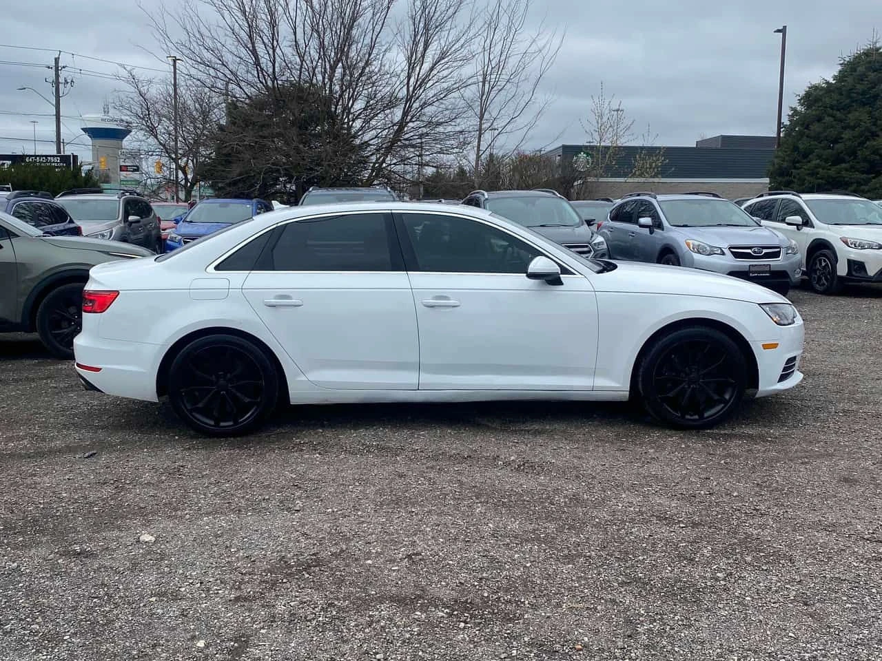 Audi A4  Progressiv / CARFAX * БЕЗ ПЪРВОНАЧАЛНА ВНОСКА, снимка 3 - Автомобили и джипове - 54639877